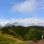Апартаменты Tennengebirge Санкт-Мартин-ам-Тенненгебирге