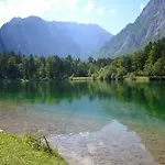 Tennengebirge Апартаменты Санкт-Мартин-ам-Тенненгебирге
