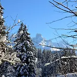 Апартаменты Tennengebirge Санкт-Мартин-ам-Тенненгебирге