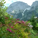 Апартаменты Tennengebirge *
