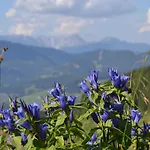 Апартаменты Tennengebirge Санкт-Мартин-ам-Тенненгебирге