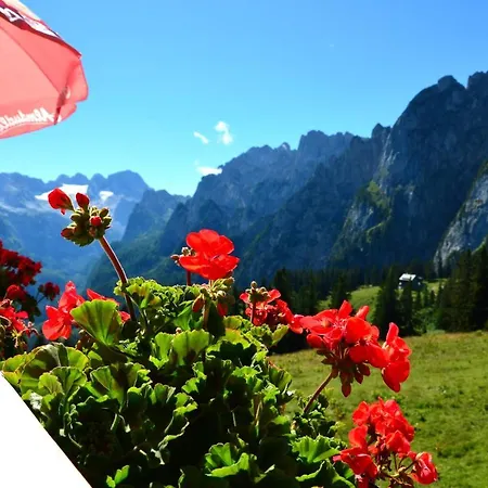 Διαμέρισμα Tennengebirge Sankt Martin am Tennengebirge