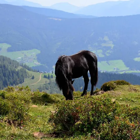 Tennengebirge Apartment *