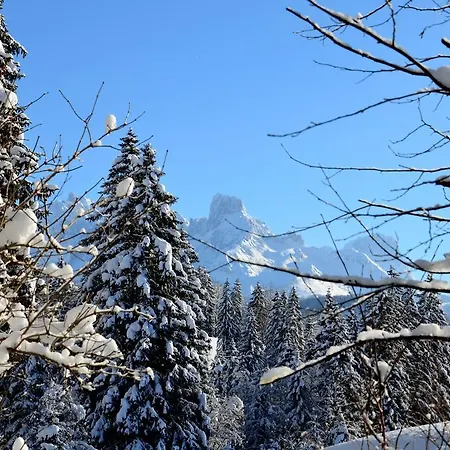 Διαμέρισμα Tennengebirge Sankt Martin am Tennengebirge