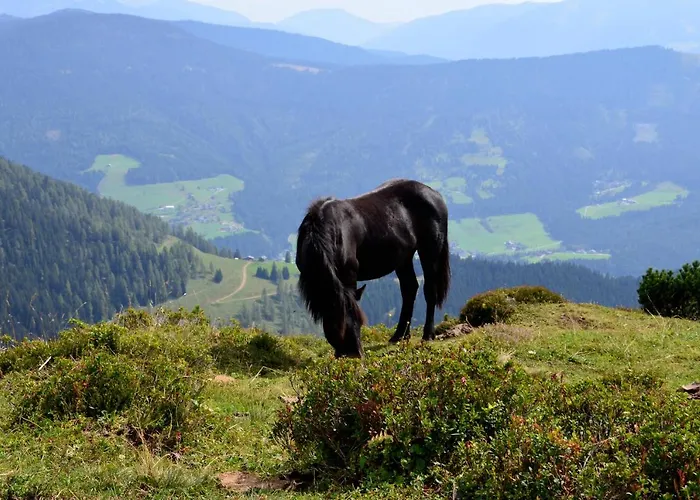 Tennengebirge アパート *