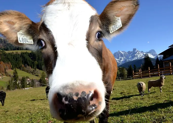 Tennengebirge アパート *